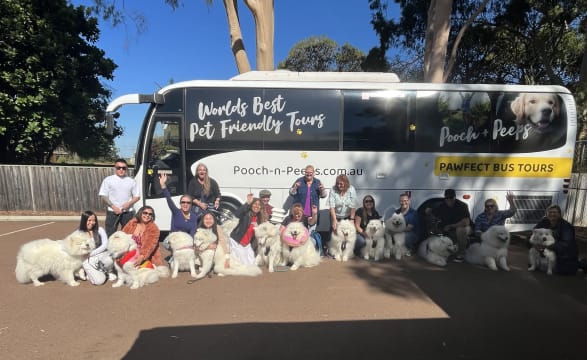 Eftuibmrywccwninobgk