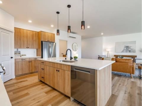 Profitable Designer Lighting E-Commerce Brand