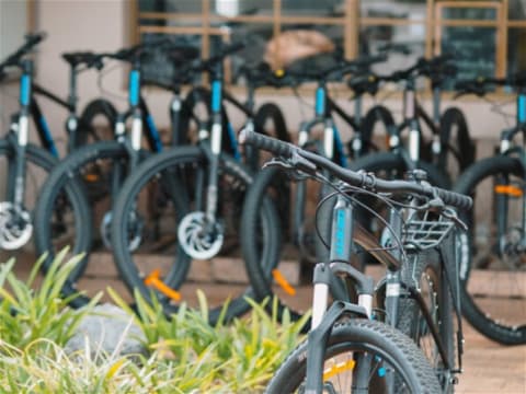 A perfect opportunity to make the tree change and make money from day one