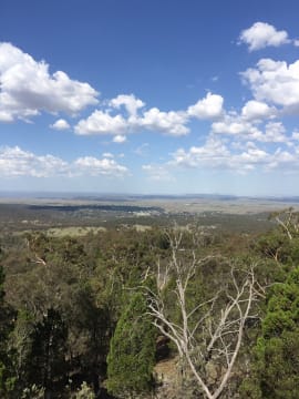 ICONIC LOG CABIN TEA HOUSE RESTAURANT WITH TOP VIEWS UNDER MT GLADSTONE LOOKOUT