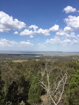 ICONIC LOG CABIN TEA HOUSE RESTAURANT WITH TOP VIEWS UNDER MT GLADSTONE LOOKOUT