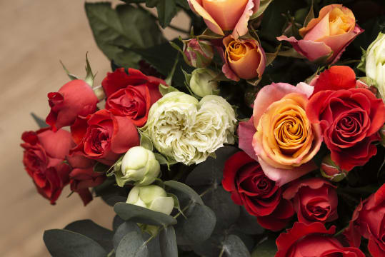 Established and Highly Regarded Retail Florist – Northern Suburbs, VIC