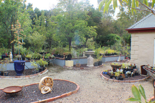 Epnyaq5wmqnyfwtsj0gj