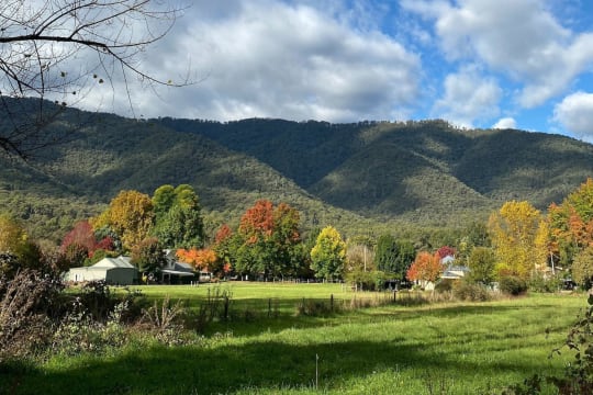 Harrietville Caravan Park - Established leasehold caravan park at the foot of the Victorian Alps