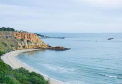 Lifestyle Cafe For Sale