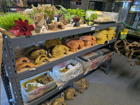 Reptile and Hydroponic Shop – First and Only in WA – Est. 2003 – East Rockingham, WA