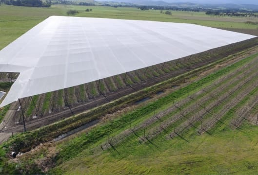 Leading Crop Protection/Netting Infrastructure Specialist VIC (Our Ref: 2065)