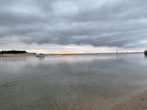 Specialty Gifts for Coastal Living (CS26126)