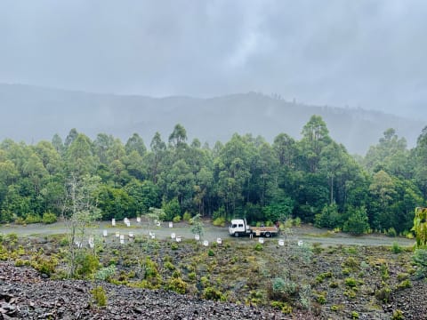 Asset-Based Small Scale Commercial Beekeeping Opportunity for Sale