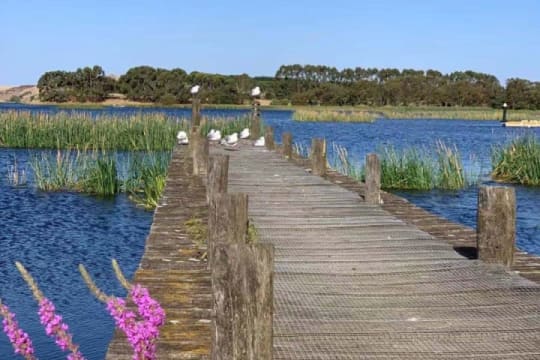 GUARANTEED INCOME - LAKE PURRUMBETE HOLIDAY PARK WITH