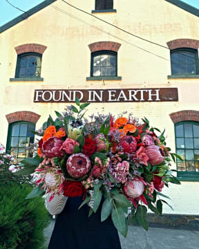 F4kzx81spaai6dw5f2pf