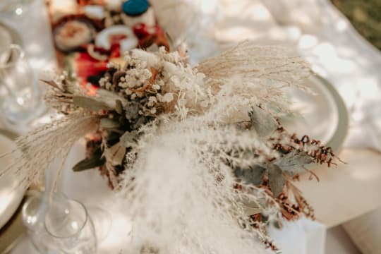 THE LATIN BITE EVERYTHING GRAZING PICNICS CELEBRATORY EVENTS