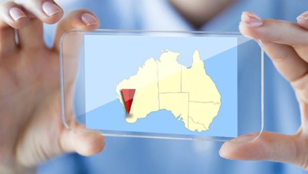 Established Premium Bookshop :: South West WA :: HIGH CASHFLOW