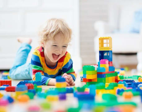 Large National Toy Product Importer, Wholesaler/Distributor #381