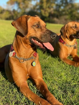 Fchopkenpjhorbwoou2k