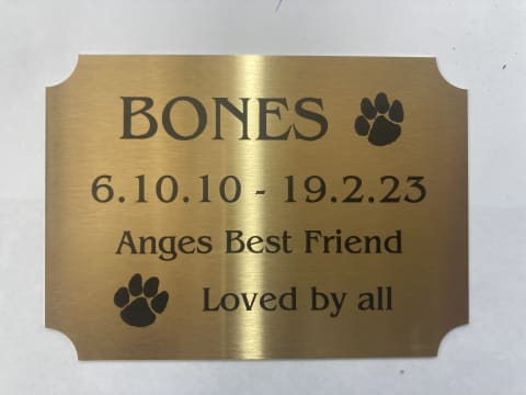 Fe9zlowcv4app3y6kgxr