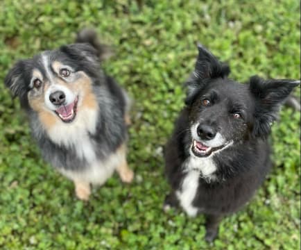 Fftowqxovmvgajdggmek