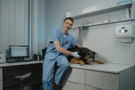 Agnes Coast Vet Clinic | Coastal Lifestyle + Profit