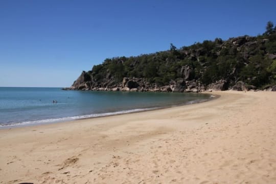 Two for the price of One looking for the Ultimate Sea Change!