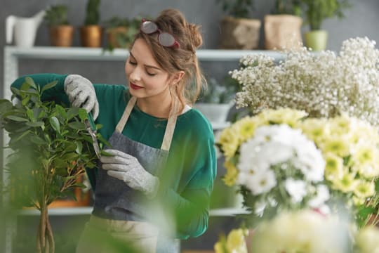 Popular Fruit & Veg Shop near Boxhill | Cheap Rent! [2410301]