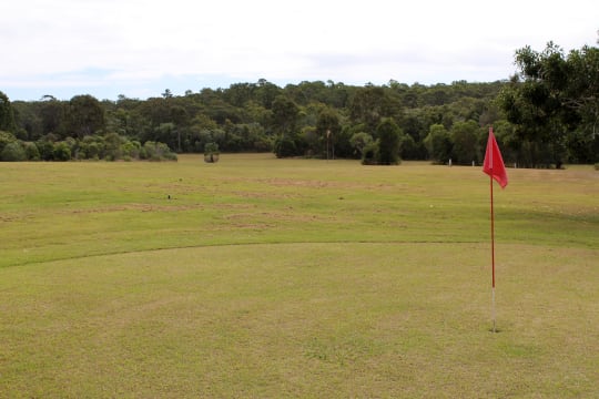 Fluznz3y6pnvf66xgnj6