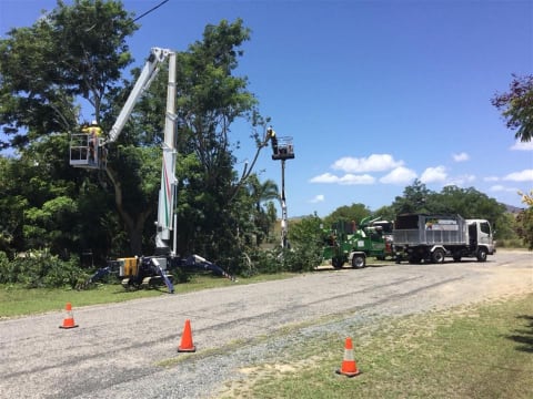 Long-Established Tree Services Business - Coastal Lifestyle!