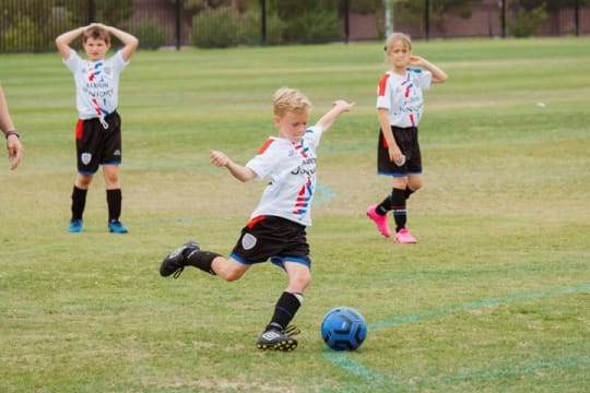Niche Market Sports Product, Apparel and Equipment Outlet and National Online Webstore #411