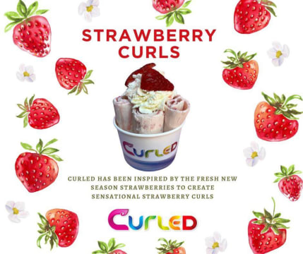 Curled Icecream - Franchise Ready with Strong Profits & Low Overheads