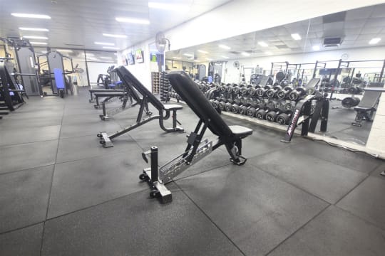 Established 24/7 Gym Business - Como