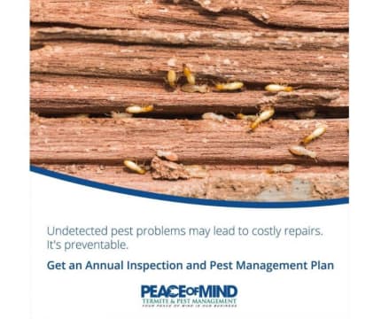 Established Termite & Pest Management Business Flexible, Mobile Operation. WIWO