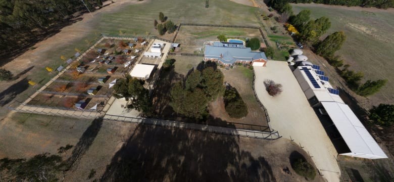 Pet Boarding Kennels business for sale with a Lifestyle Property SP1518