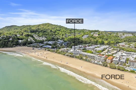 Hastings Street Business Opportunity