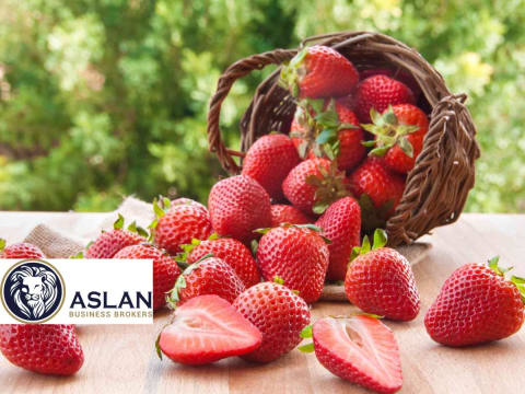 FRUIT, VEG & FRESH PRODUCE BUSINESS FOR SALE