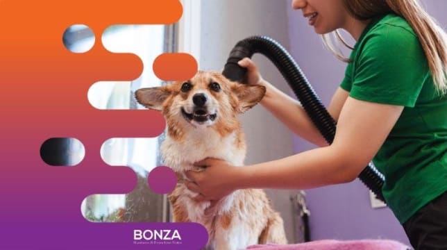 Fvzitvdcikn58ogx18np