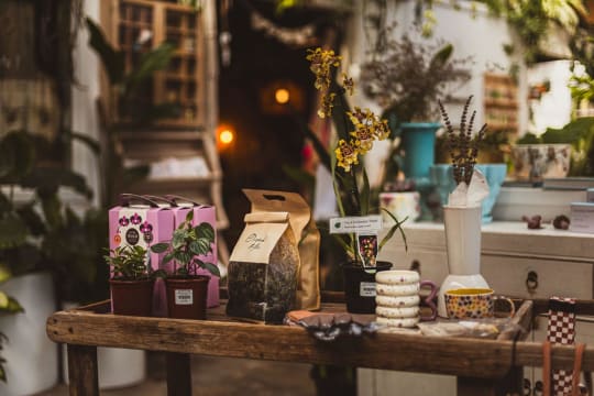 Boutique Plant / Garden Nursery & Giftware Store  Creative Lifestyle Business | Sydney