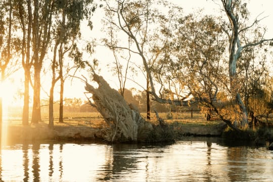Award winning tourism business - watercraft hire Nagambie Lakes