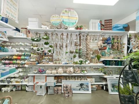 Staff Managed Discount Variety Outlet #427