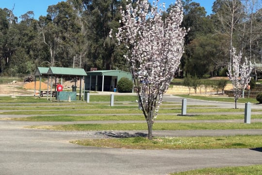 FANTASTIC SOUTH WEST CARAVAN PARK