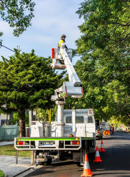 Vegetation Maintenance Municipal Contractor