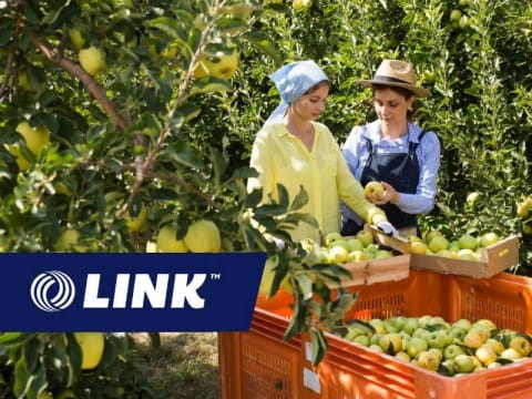 Prominent Cider Brand with National Distribution.