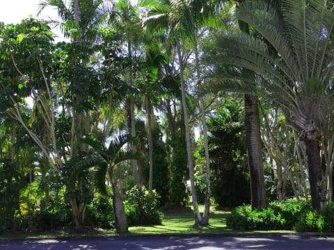 Beach Location, Motel and Development Land Holding - 2111MF