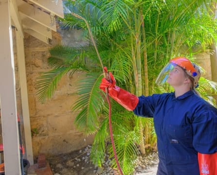 SURE Pest Control Franchises – Perth, WA