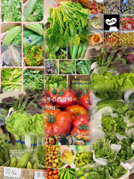 Gcmgco6qnulgkueqsku7