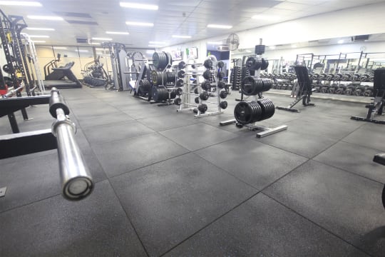 Established 24/7 Gym Business - Como