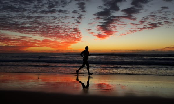 Absolute Beachfront Management Rights - Surfers Paradise Icon | Resort Brokers ID : MR009253
