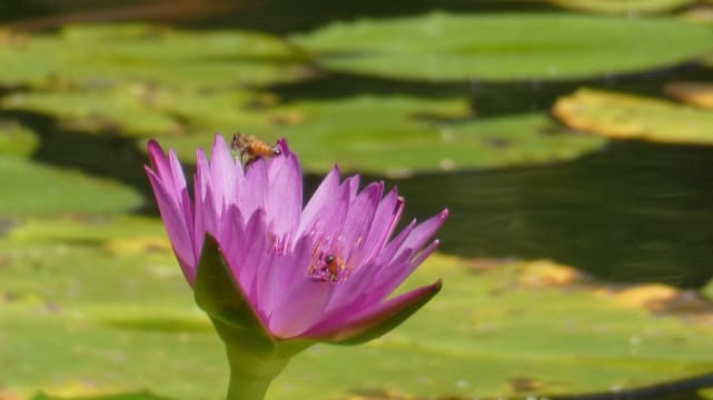 Ggoum9a9vg1yle57nlug