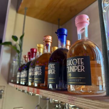 Iconic Gin Bar, Restaurant & Freehold Award-Winning Hospitality Venue