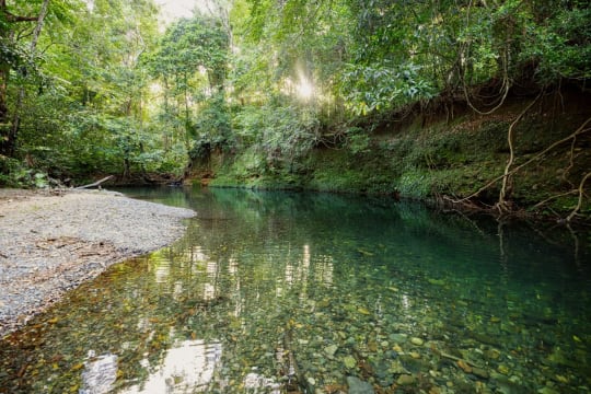Daintree Rainforest Luxe Eco Lodge For Sale