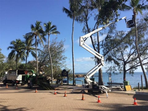 Long-Established Tree Services Business - Coastal Lifestyle!