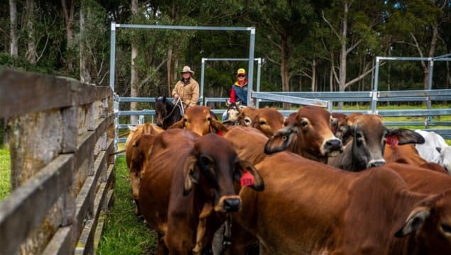 Agriculture, Recreation and Luxe Accommodation Development Opportunity